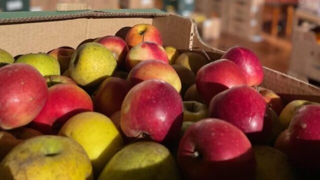 Partita la Campagna Etika 2026