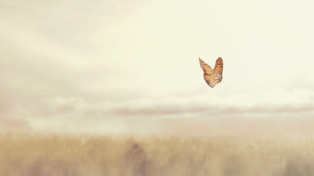 Adriano Longo, impegno diaconale e volontariato