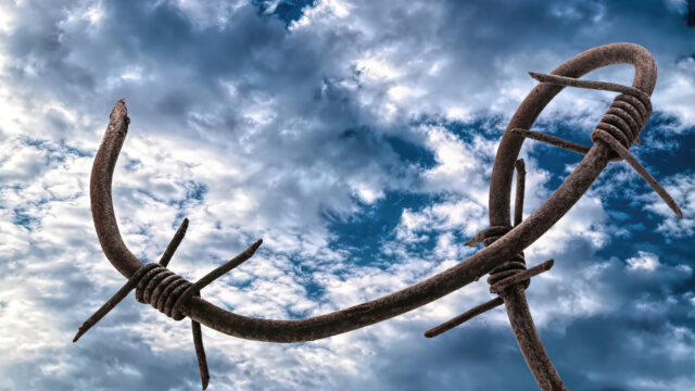 Le ragioni di un’amicizia