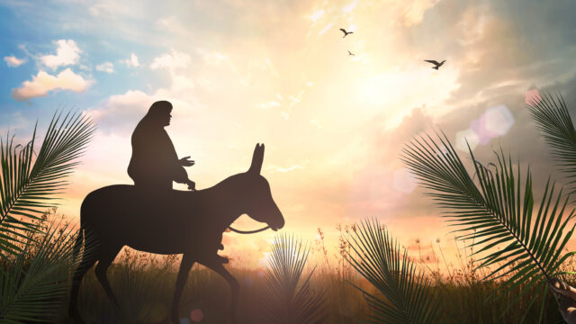 Portare con amore i pesi dell’umanità